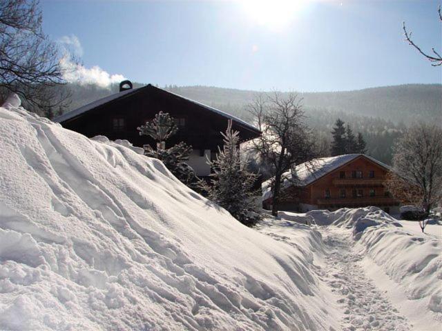 Pension Klose Kubova Hut Exterior photo